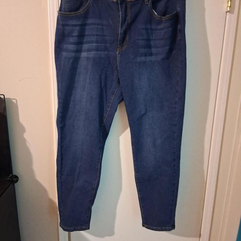Shein-curve-plus Women's Blue and Navy Jeans